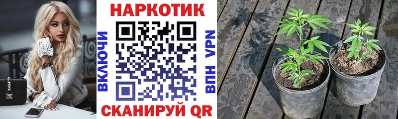 Наркошоп Людиново Бошки Шишки Кокаин ГАШ