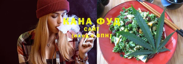 МДПВ Каменка