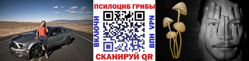 купить наркотик  Людиново  Псилоцибиновые грибы Cubensis 